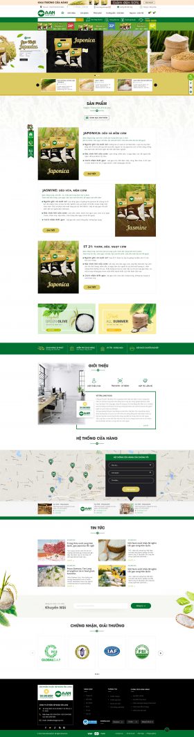 thiet ke website thienminh layout aan 1580621127